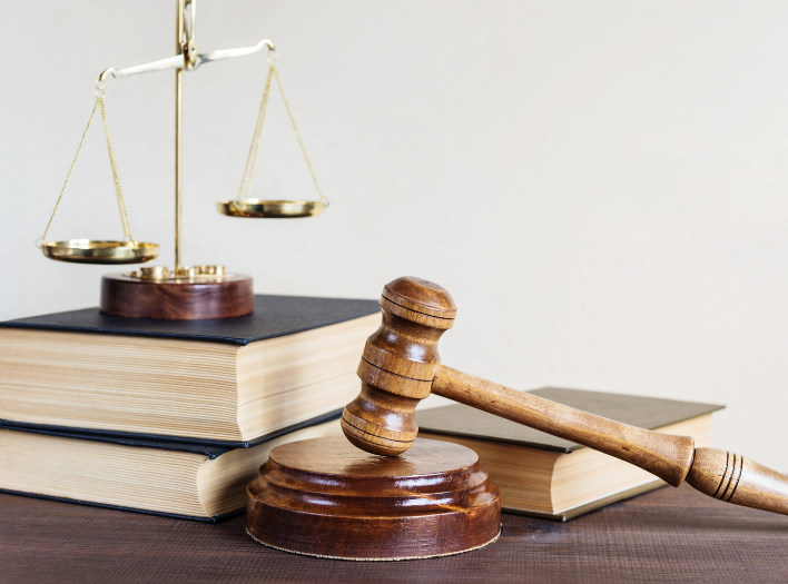Legal Briefs Preparation